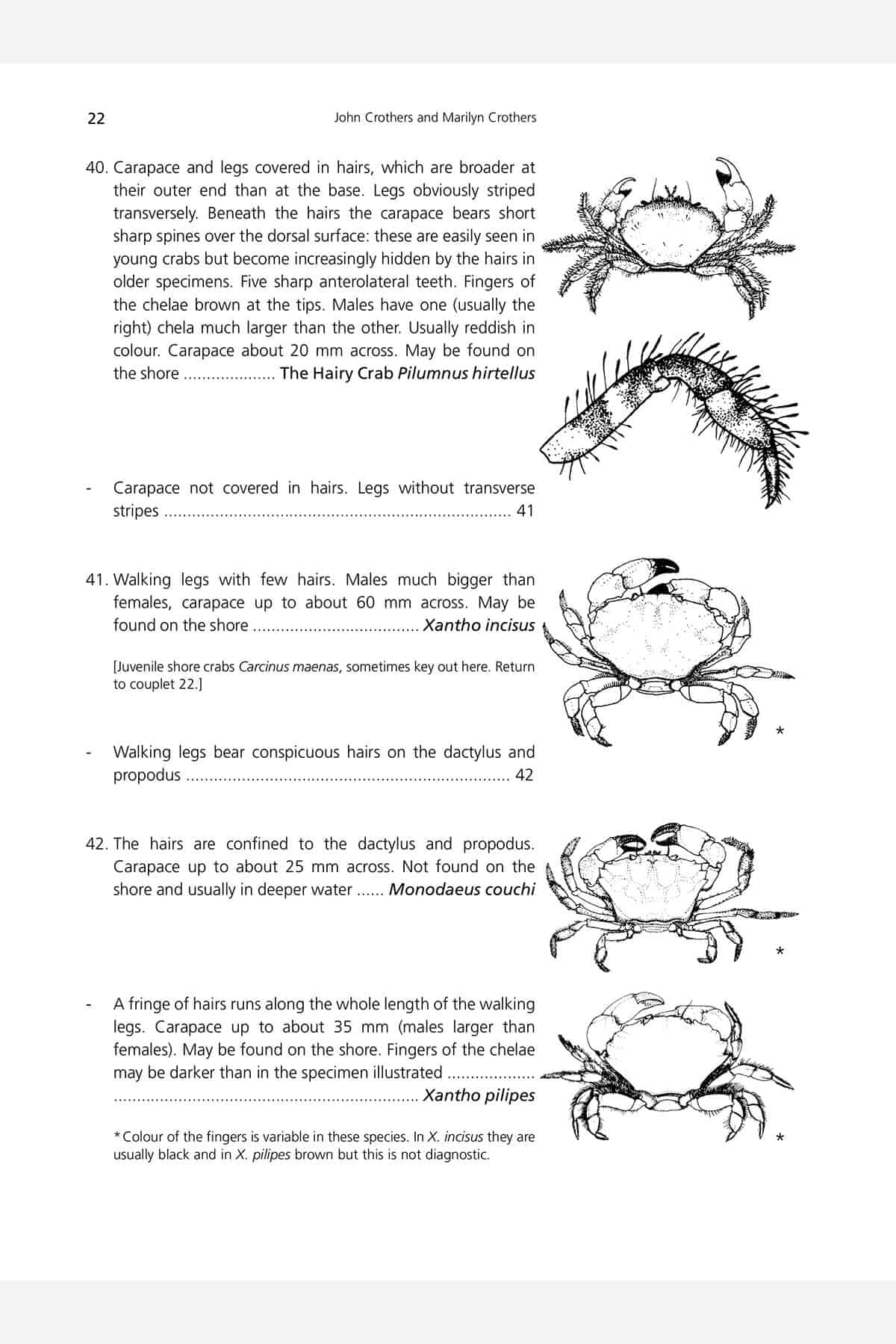 Crabs AIDGAP Field Studies Council