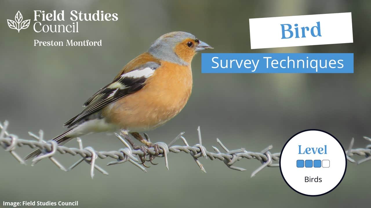 bird-survey-techniques-mmu-2023-field-studies-council