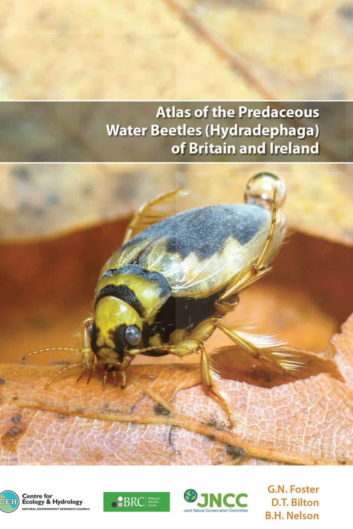 Predaceous Water Beetles Atlas Field Studies Council