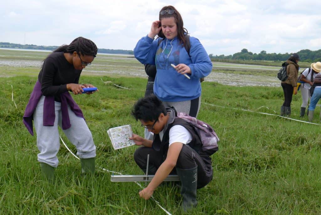 biology-fieldwork-courses-gsce-a-level-biology-field-trips