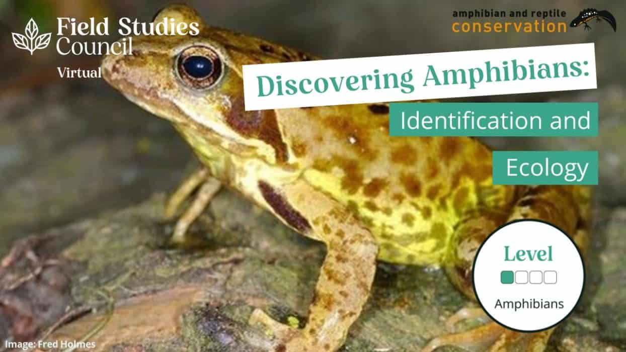 Discovering Amphibians 1244x700 