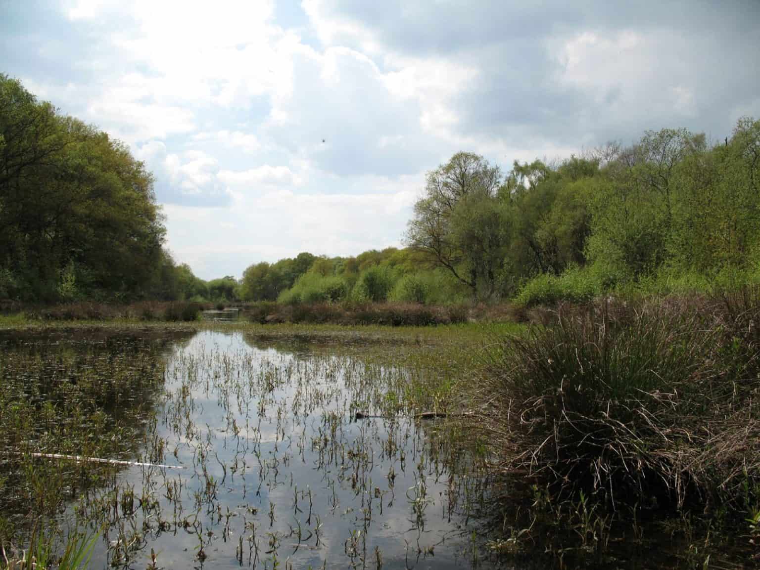 Lowland Landscapes – Field Studies Council