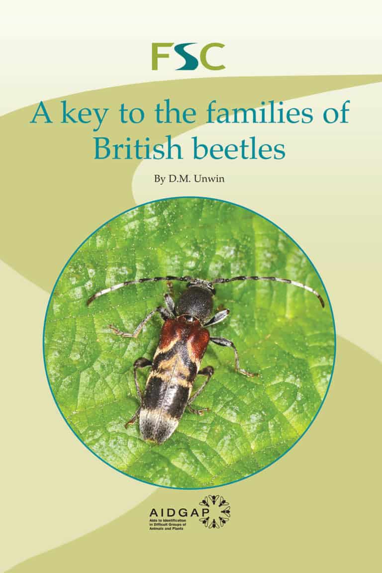 Beetles AIDGAP | Key To Identification Of Beetles | Field Studies Council