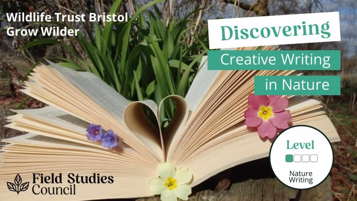 creative writing bristol university