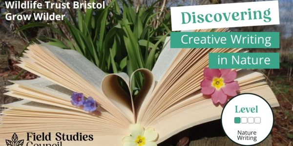 masters in creative writing bristol