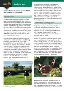 Hedgerows guide – Field Studies Council