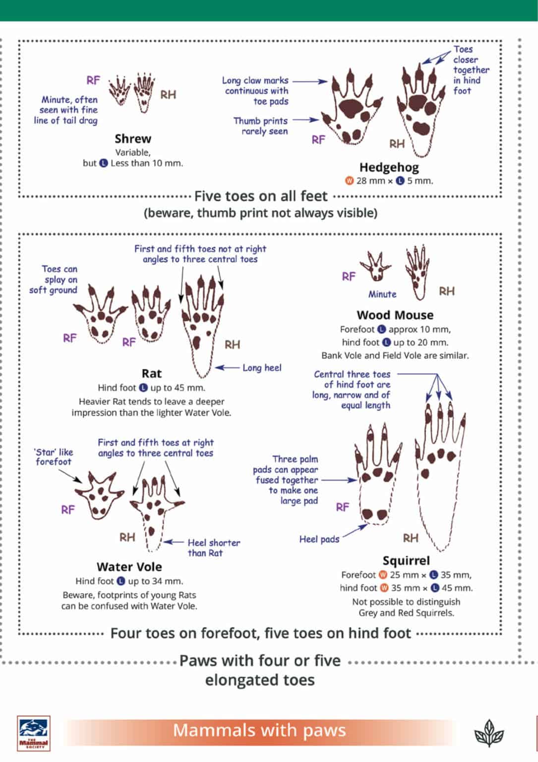 Mammal Tracks And Signs Guide