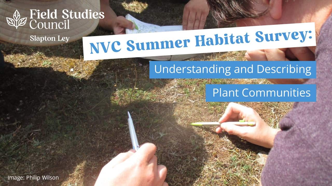 NVC Summer Habitats Survey Course Plant Communities