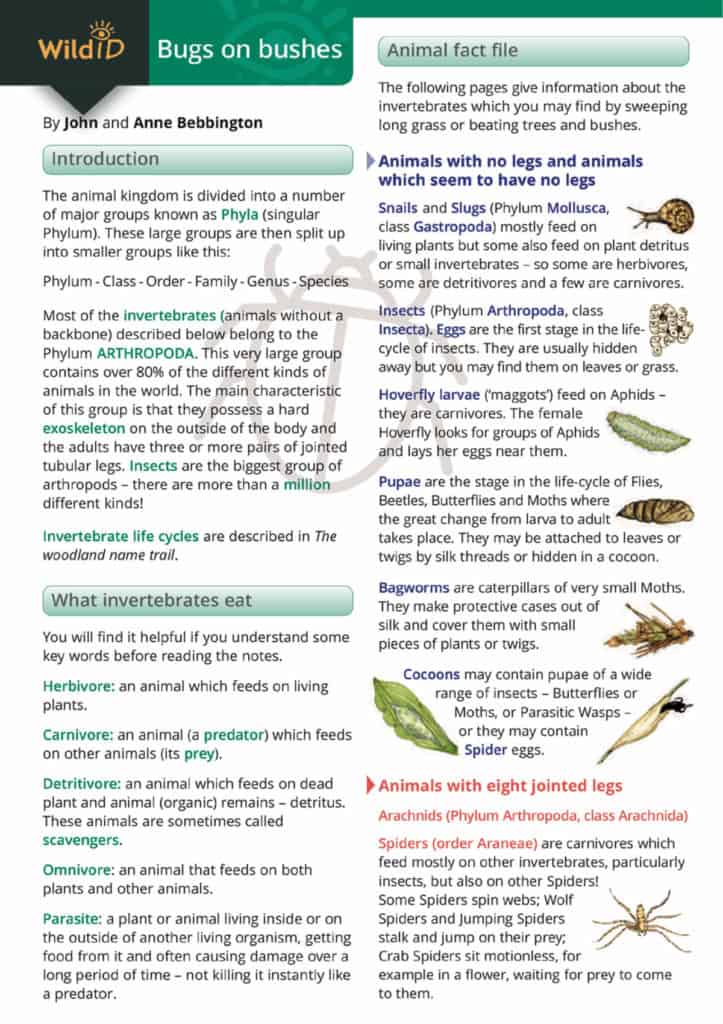 Bugs on bushes – Field Studies Council