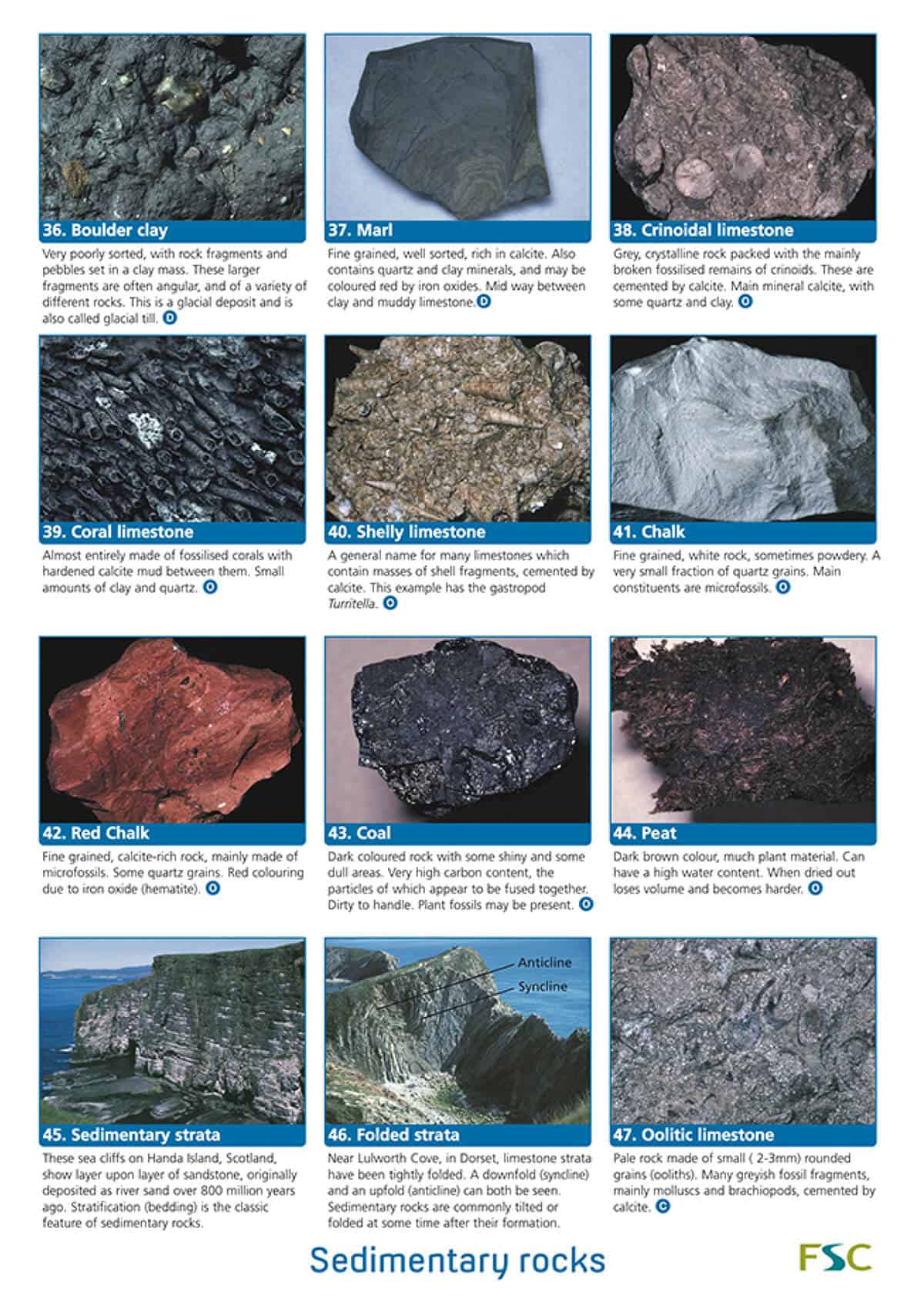 Rocks guide – Field Studies Council