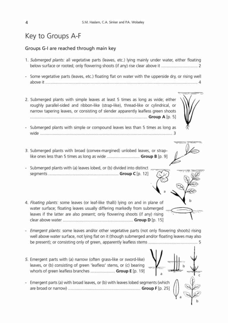 Water plants AIDGAP – Field Studies Council