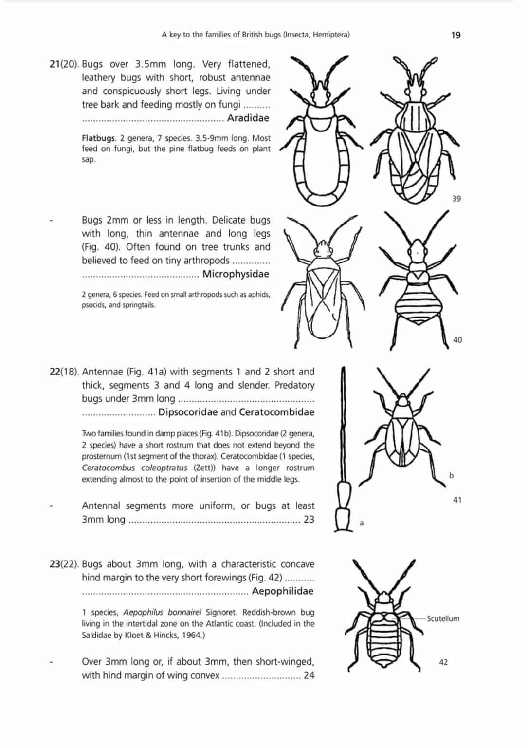 bugs-aidgap-aidgap-softback-book-field-studies-council