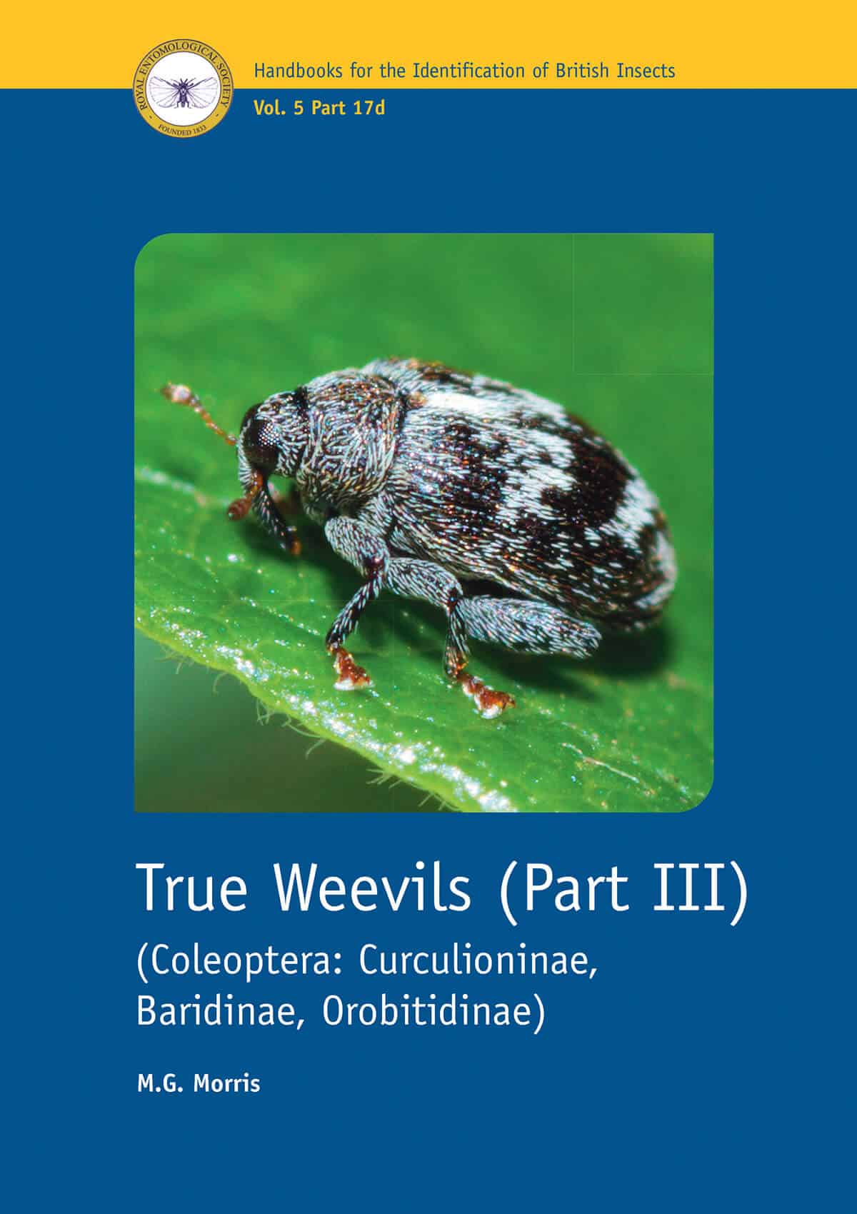 Weevil Control & Info - MosquitoNix® Pest Library