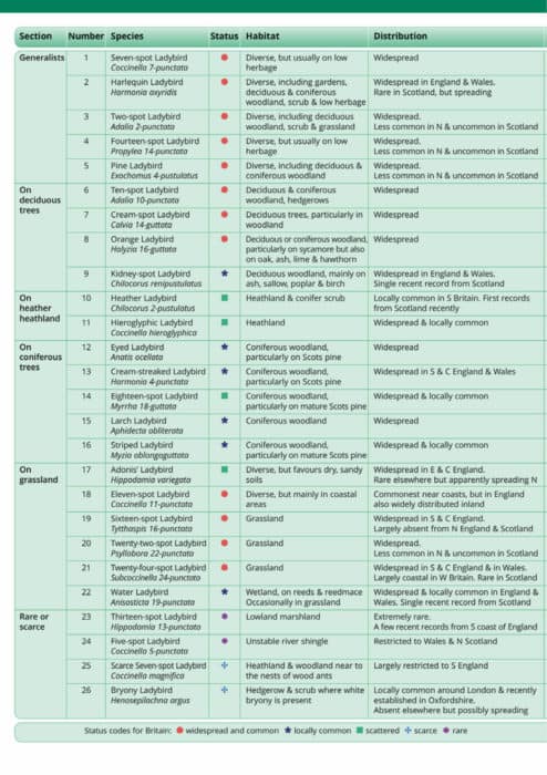 Ladybird larvae guide – Field Studies Council