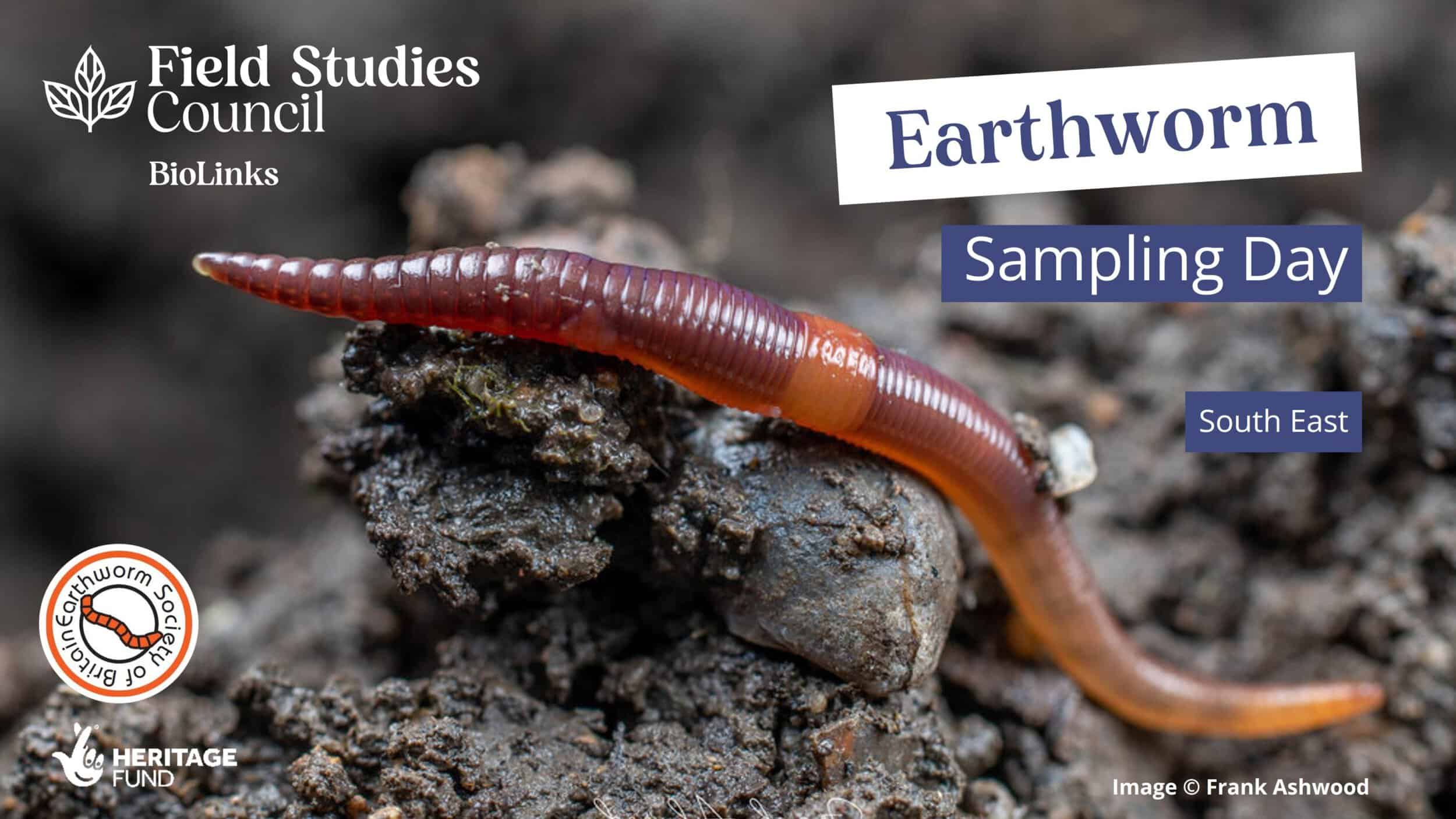 Earthworm Sampling Day Field Studies Council