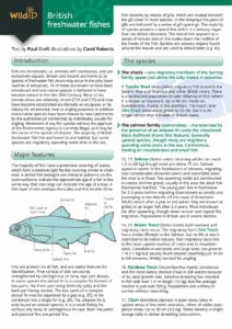 Fish guide – Field Studies Council