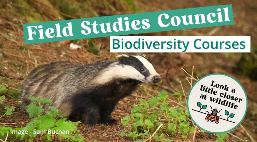 ARC Members Discounted Courses – Field Studies Council