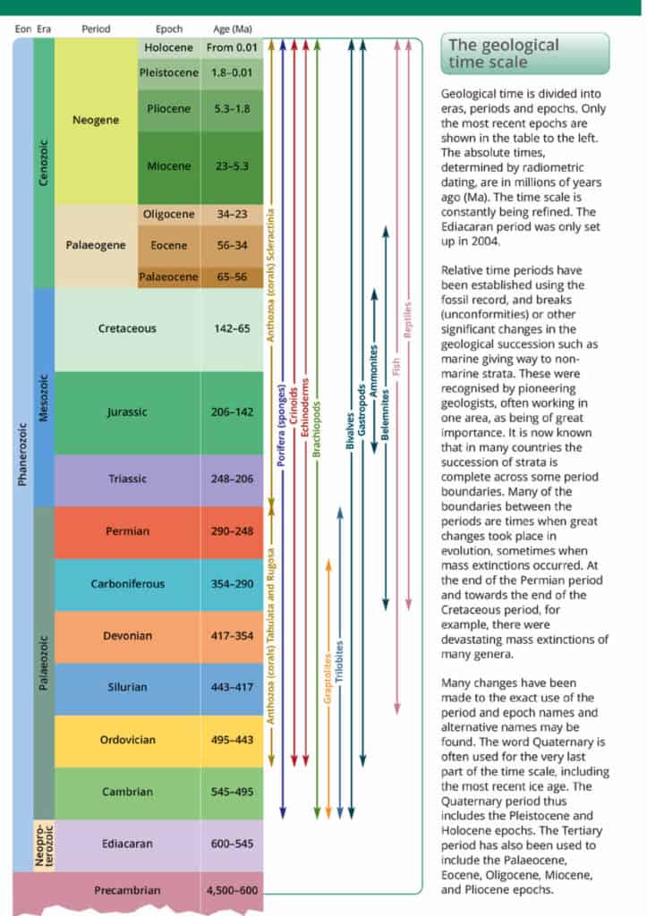 Fossils guide – Field Studies Council