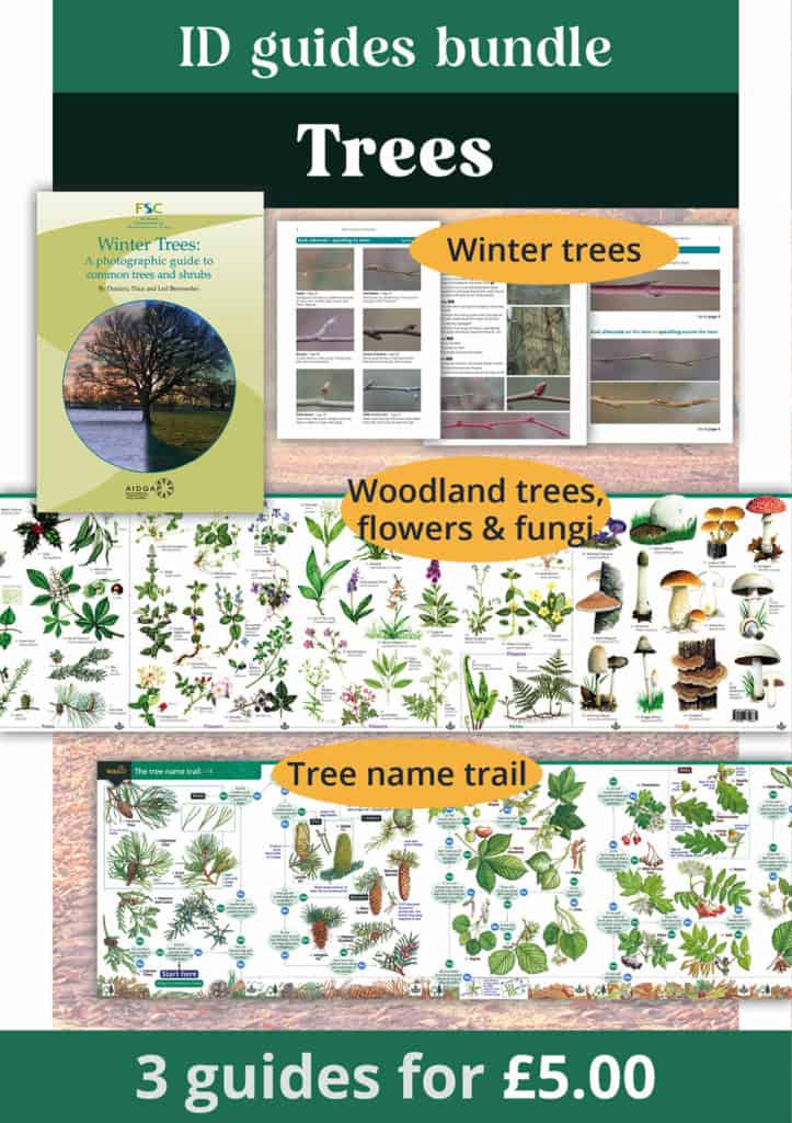 Tree guides bundle – Field Studies Council