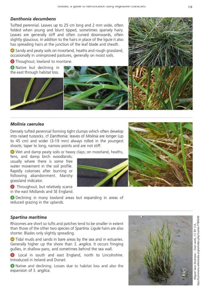 Grasses AIDGAP – Field Studies Council