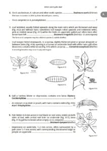 Plant galls AIDGAP – Field Studies Council