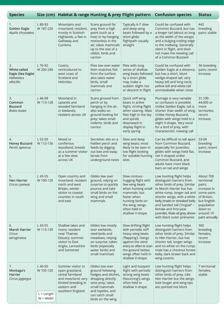 Birds of Prey guide – Field Studies Council