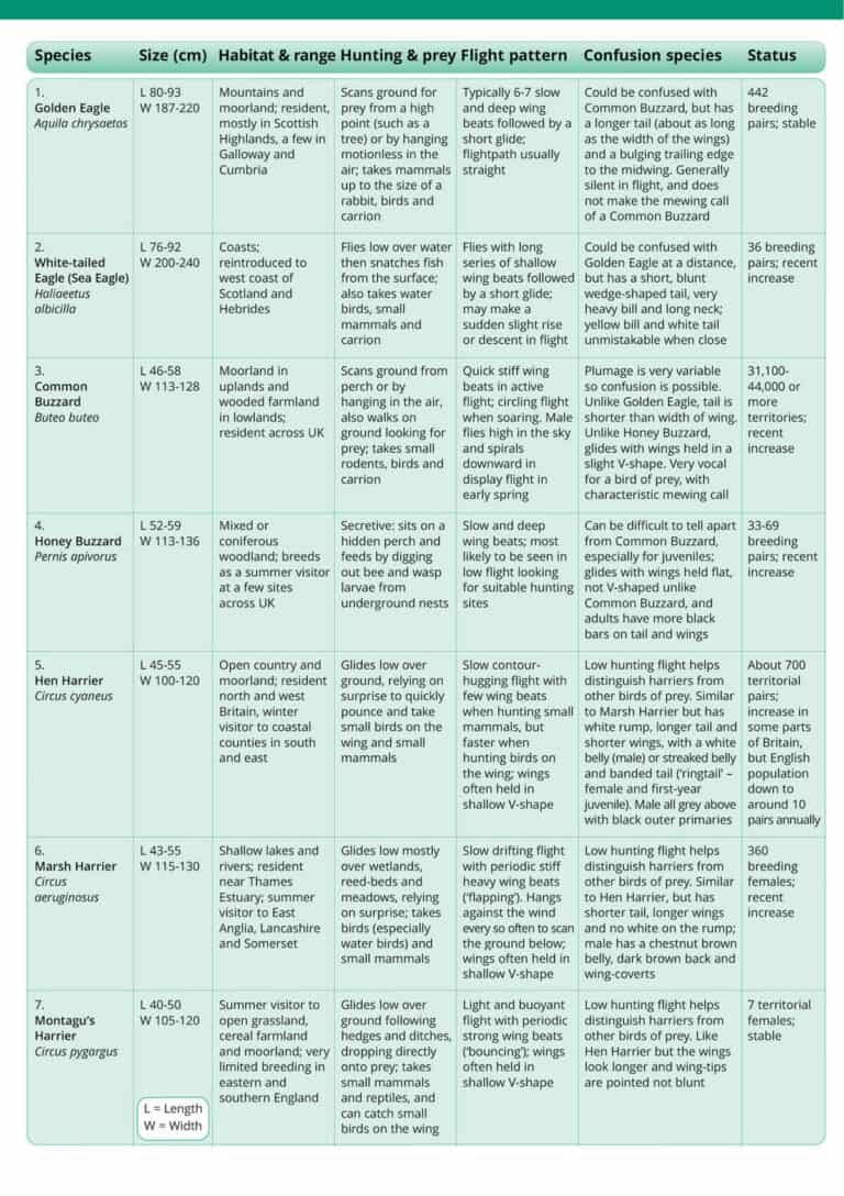 Birds of Prey guide – Field Studies Council