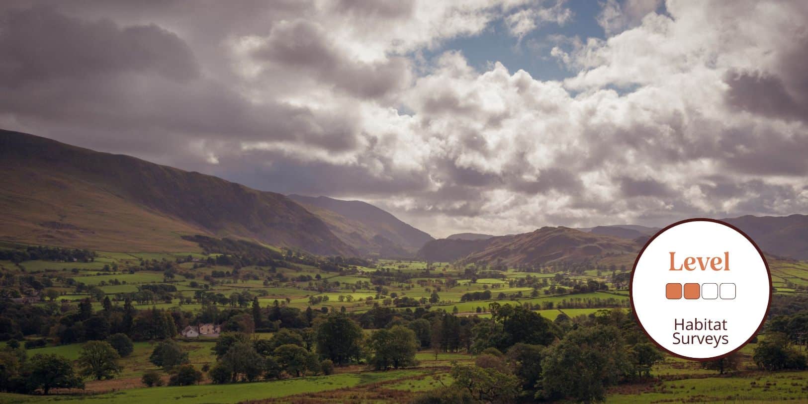 Habitat Surveying: Upland Priority Open Habitats – Field Studies Council