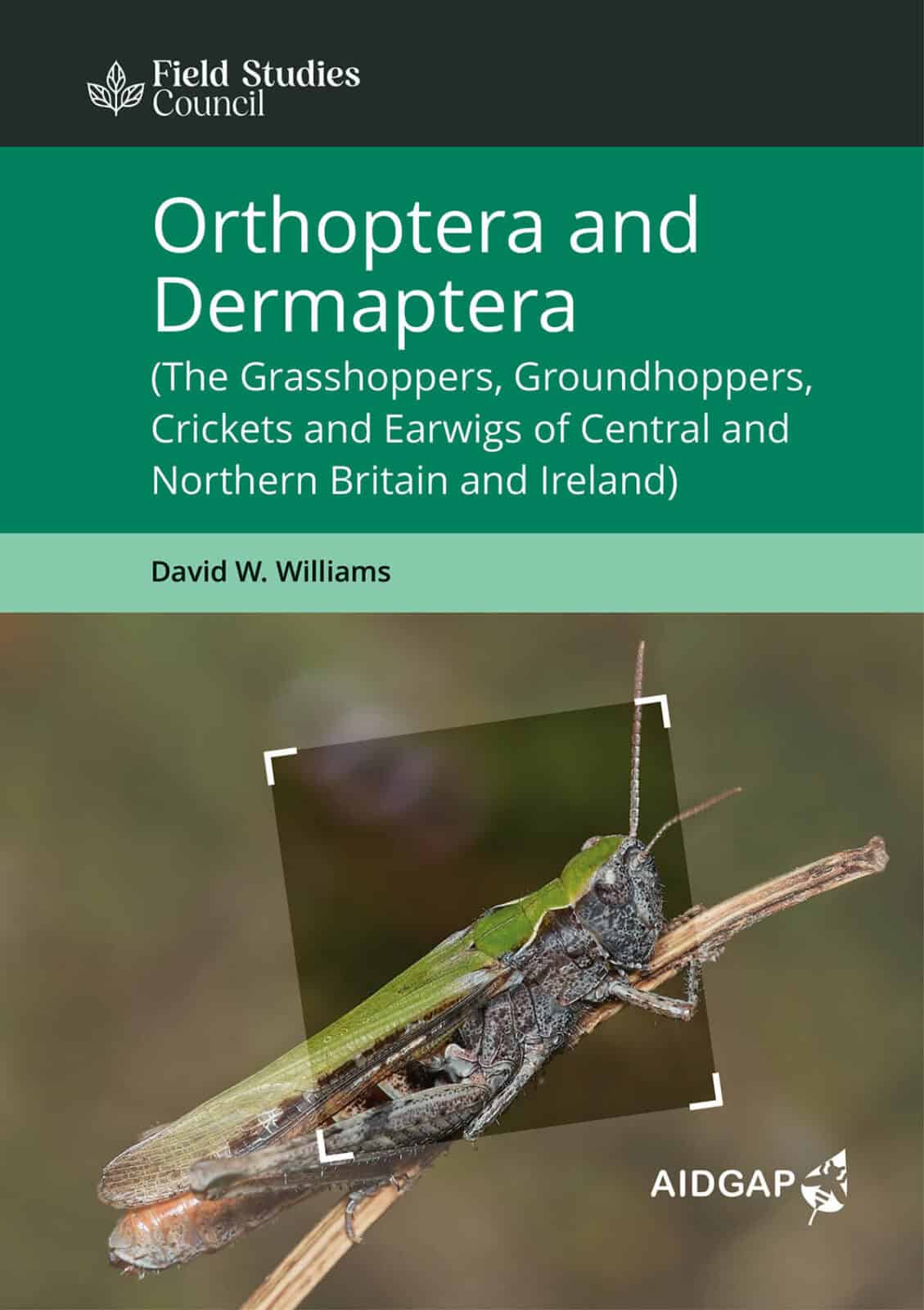 Orthoptera and Dermaptera – Field Studies Council